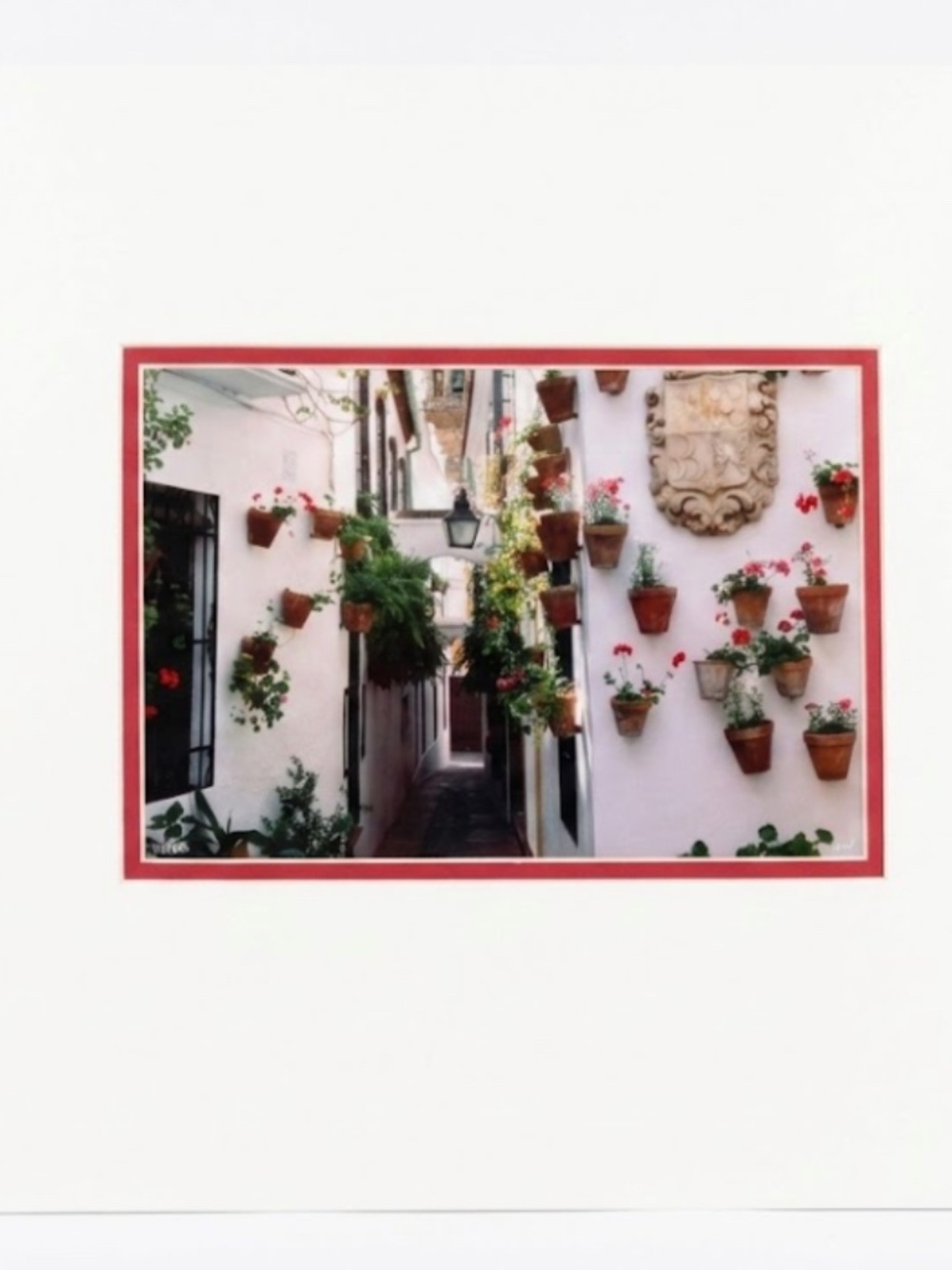 Vintage Loel Martin Photography Print – "Calle Las Flores" Cordova, Spain